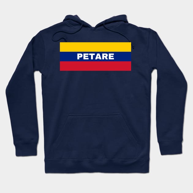 Petare City in Venezuelan Flag Colors Hoodie by aybe7elf